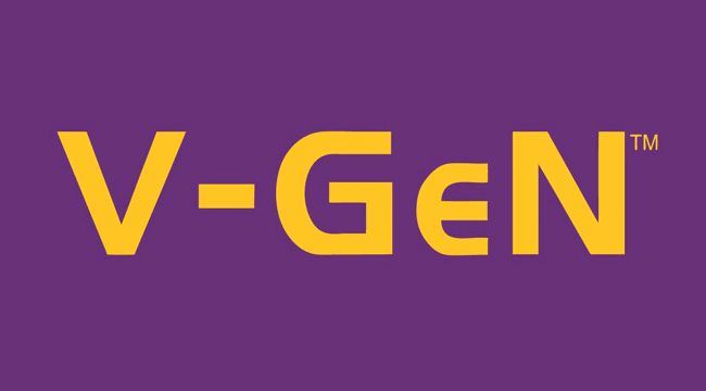 V-Gen Stock Rom